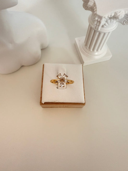 Promise Ring